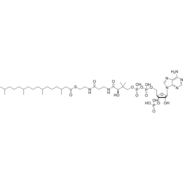 Phytanoyl-CoA 146622-45-9